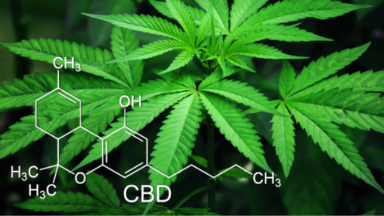 The Healing Benefits of CBD Crystals